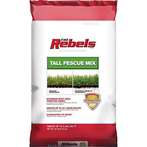 Pennington Rebel Tall Fescue Mixture Powder Coated Seed, 20 Lb.