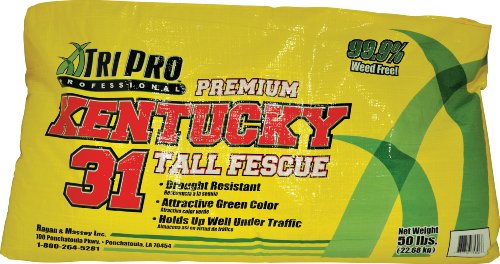 TriPro Kentucky 31 Turf-Type Tall Fescue Seed 50-Pound