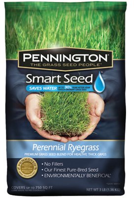 Pennington Seed 100086853 3 lbs Smart Seed Perennial Rye Blend Premium Grass Seed Mixture