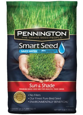 Pennington Seed Smart Seed Sun And Shade Premium Grass Seed Mixture 1000 Sq Ft Bagged 3 Lb Northe