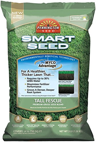 Pennington Seed Smart Seed Tall Fescue Premium Grass Seed Blend 750 Sq Ft Bagged 3 Lb