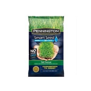 Pennington Seed Smart Seed Tall Fescue Premium Grass Seed Blend 750 Sq Ft Bagged 3 Lb