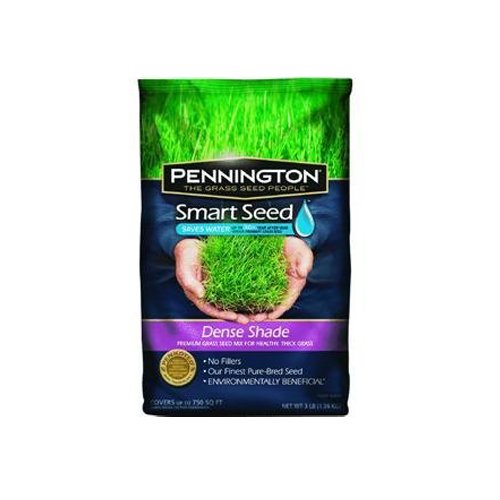 Pennington Smart Seed Dense Shade Premium Grass Seed 3-pound