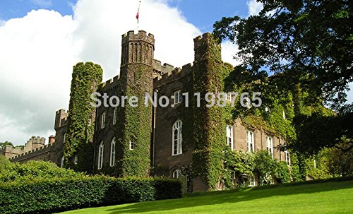  100pcs BOSTON Ivy Seeds 100 Original japanese Creeper Seeds Green Grass Seed Anti-radiation ultraviolet ray