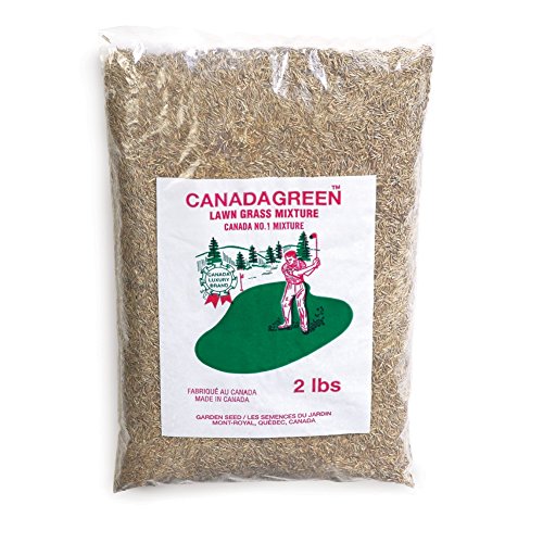 Canada Green Grass Seed - 2 Lb Bag