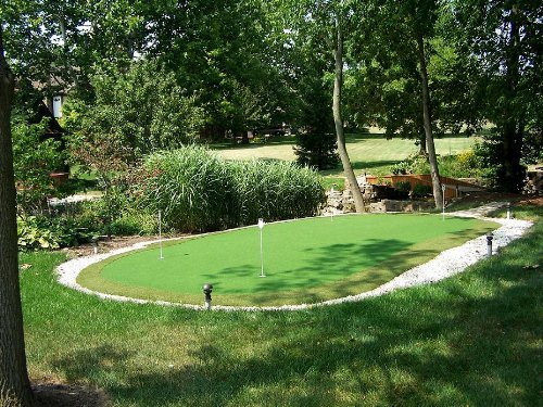 Penncross Creeping Bent Grass Seeds- 1 Lb Of Putting Green Seed Bentgrass Bentgrass Seed