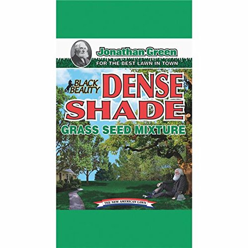 Jonathan Green 10620 Dense Shade Grass Seed Mix 7 Pounds