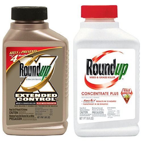 Roundup Branded Weed Grass Killer Concentrates 16-Ounce