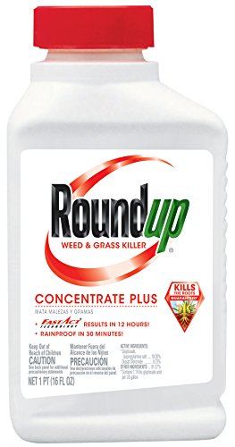 Roundup Weed And Grass Killer Concentrate Plus 16-ounce