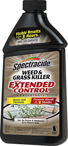 Spectracide 95963 Weed And Grass Killer With Extended Control Concentrate 32-ounce Pack Of 1