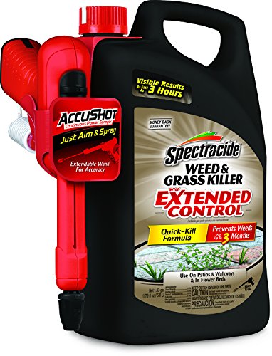 Spectracide Weed Grass Killer With Extended Control AccuShot Sprayer