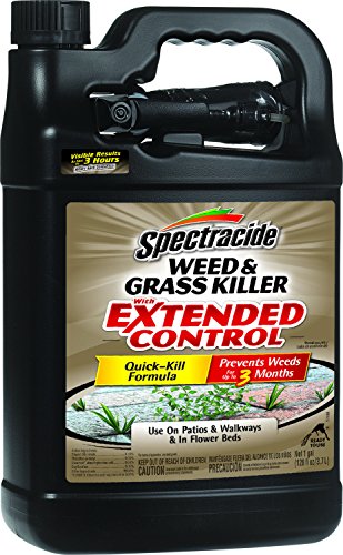 Spectracide Weedamp Grass Killer With Extended Control ready-to-use hg-96218 1 Gal