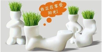 REAL Grass 20PCS New Arrival series of real planting grass little vase Good for gift decoration SEEDS ONLY