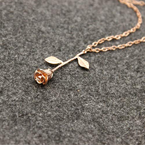 Urns Ashes Funeral Charming Necklace for Women Fashion Delicate Rose Flower Pendant Necklace Beauty Charm Women Jewelry Best Gift for HerColourGold Pet Memorial Dog cat Urn Color  Rose Gold