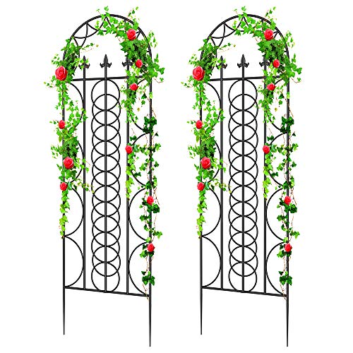 Amagabeli 2 Pack Large Garden Trellis for Climbing Plants 71 x 21 Heavy Duty Rustproof Iron Plant Trellis for Potted Plants Support Tall Wall Metal Trellis for Rose Vines Vegetables Cucumber Black