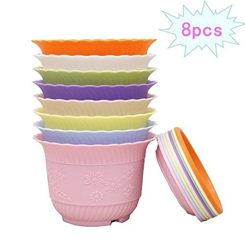 Anianiau The Latest Design Fashion Style Of Lotus Shaped Plastic Plant Flower Pot Which Has 8 Kinds Of Colors