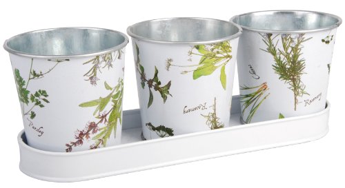 Esschert Design Herb Print Galvanized Steel Flower Pots With Saucer Set Of 3