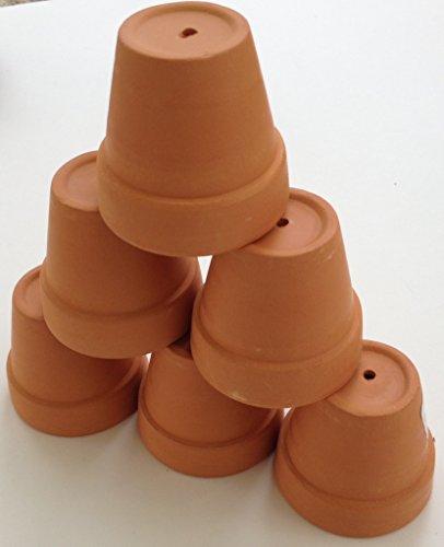 Pennington Mini Flower Pots 2 Terra Cotta 6 Pack