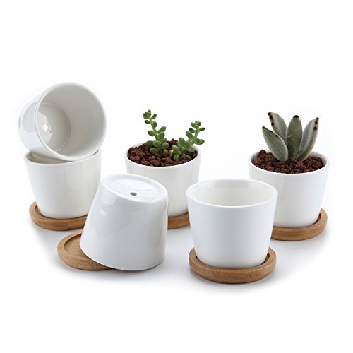 T4U 25 Inch Ceramic White Round Simple Design succulent Plant PotCactus Plant Pot Flower Pot with bamboo trayContainerPlanter White Package 1 Pack of 6