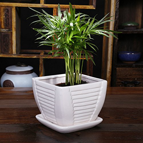 White Ceramic Flower Pot  Plant Pot Square with Attached Saucer with Drainage Holes