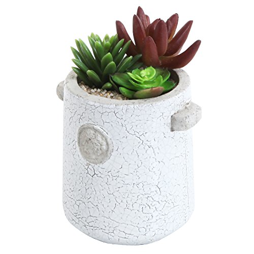 Antiqued Small Cylindrical Cement Succulent Planter Pot Vase with White Crackle Glazed Finish