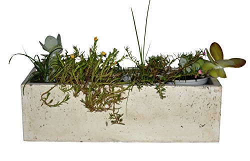 Happy Planter Rectangle Natural Cement Fiber Planter, Size - 18 X 7 X 5", Color - White