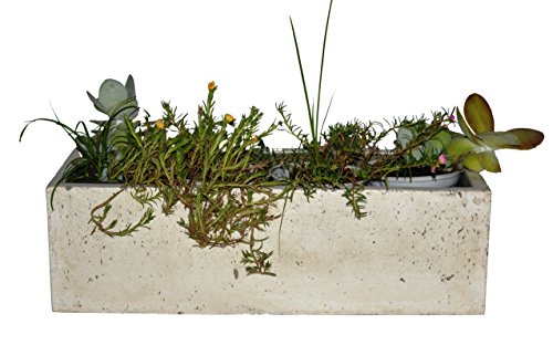 Happy Planter Rectangle Natural Cement Fiber Planter Size - 18 X 7 X 5&quot Color - White