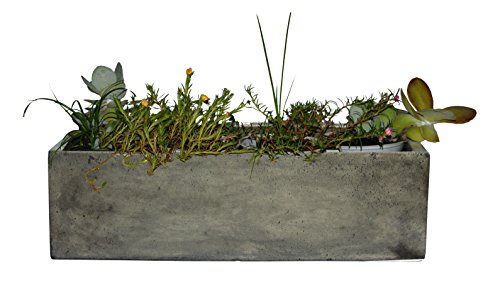 Happy Planter Rectangle Natural Cement Fiber Planter Size - 18 x 7 x 5 Color - Grey Cement