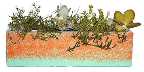 Happy Planter Rectangle Natural Cement Fiber Planter Size - 30 x 125 x 9 Color - Moderno Collection