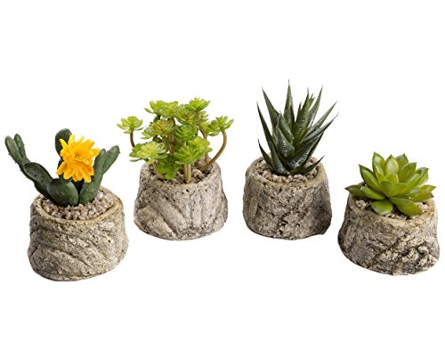 Mkono Artificial Succulents Plants Mini Faux Potted Plant Assorted Succulent Pots with Cement Planters for Home Office Indoor Decor Set of 4