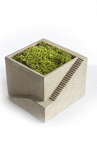 Vagabond Vintage Cement Single Architectural Planter Featuring Staircase Detail