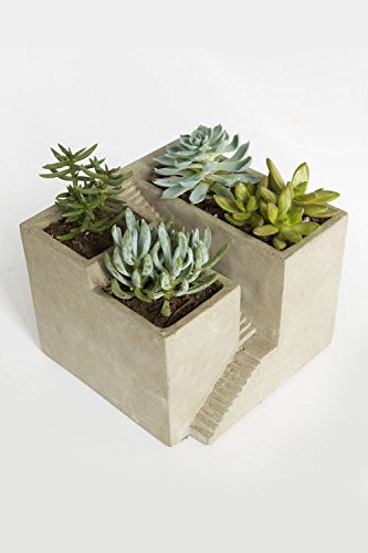 Vagabond Vintage Cement Triple Architectural Planter Featuring Staircase Detail