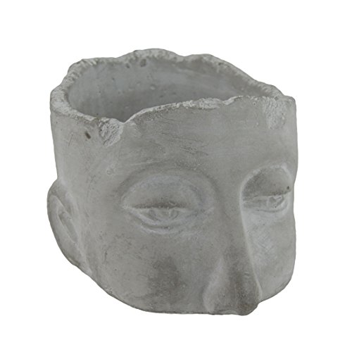 Weathered Finish Medium Sculptural Cement Head Planter 5 14 In Tall