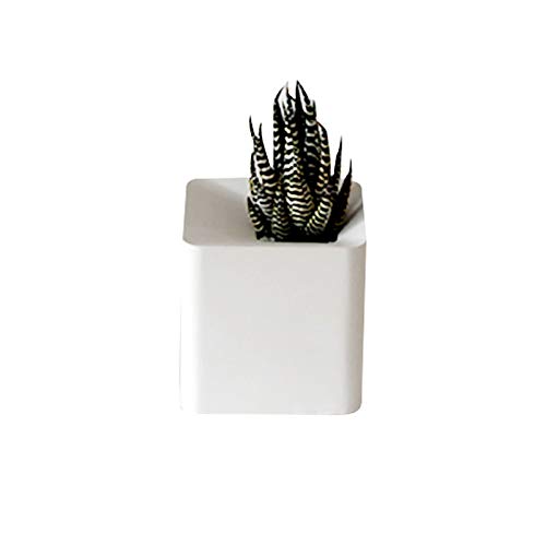 Nicole Concrete Flower Pot Mold Square Candle Holder Silicone Mould Handmade Home Decorating Moulds