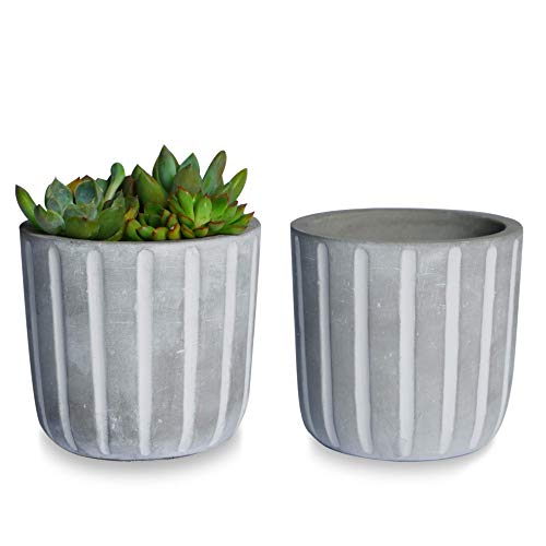 SQOWL 4inch Modern Round Cement Succulent Planter Pot Set of 2Small Concrete Flower Pot Cactus Planter Herb Plant Pot with Drain HoleGray and White Indoor Outdoor