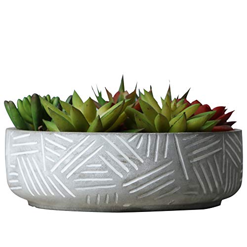 SQOWL 7Inch Morden Round Cement Succulent Planter PotSmall Concrete Flower Pot Cactus Planter Herb Plant Pot with Drain HoleGray and White Indoor Outdoor