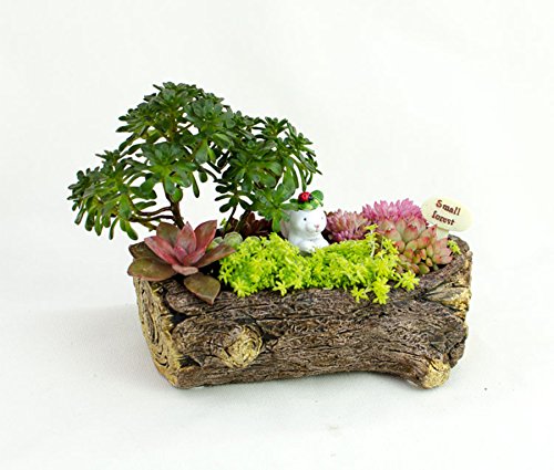 Cement Rabbit Pot Cacti Succulent Plant Pot Flower Planter Mini Garden Design