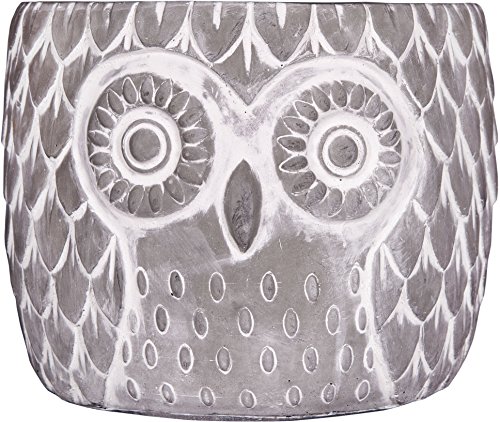 Home Essentials 6 Cement Owl Flower Pot One Size Grey