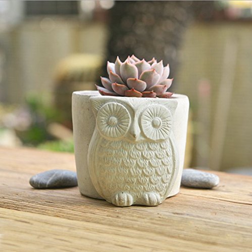 Sun-e Handmade White Unglazed Cement Owl Succulent Planter  Mini Bud Floweramp Herb Pot