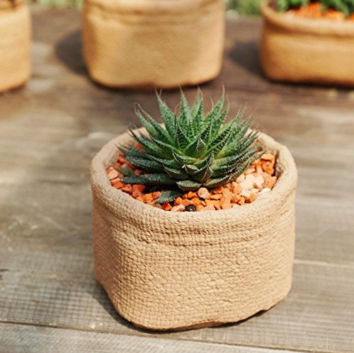 Sun-e Succulent Cute Sacks Shape Cement Bonsai Pot Planter Plant Flower Desktop Container Garden Indoor Outdoor