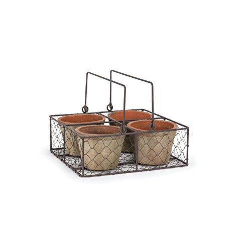 Abbott Collection Quad Moss Pot In Basket