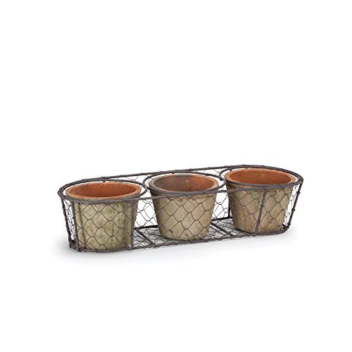 Abbott Collection Triple Moss Pot In Basket