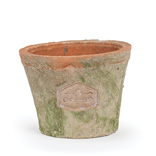 Cottage Life 3 Small Vintage Terracotta Green Moss Pot Planter With Emblem