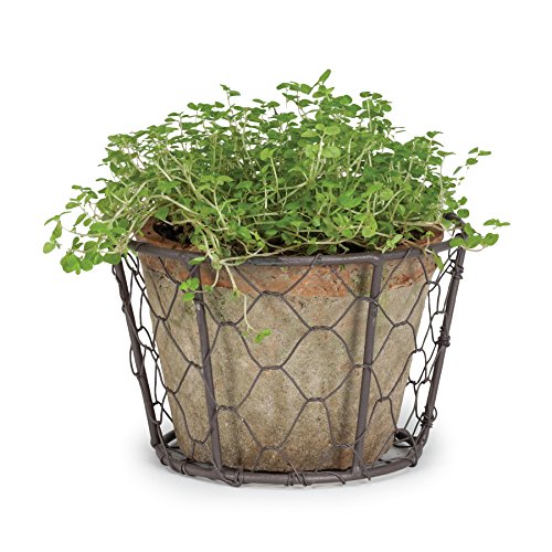 Cottage Life 4 Large Vintage Terracotta Green Moss Pot Planter In Wire Basket