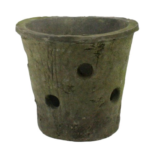 Homart Rustic Terra Cotta Orchid Pot Moss Grey 1-count