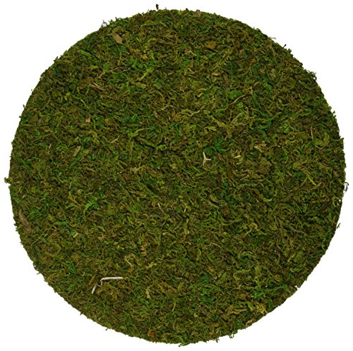 Super Moss 26300 Preserved Soil Topper Moss Pot 6-inch