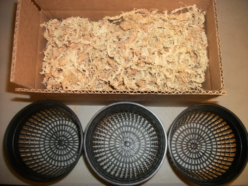 Three 5 Inch Net Pots With New Zealand Sphagnum Moss