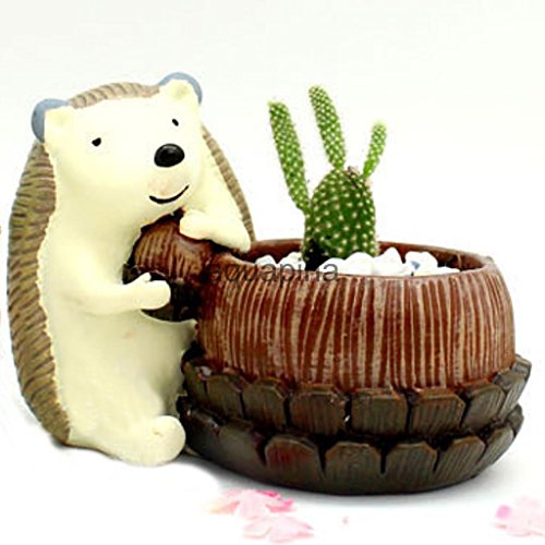 Retro Hedgehog Flower Pot Sedum Cacti Succulent Herb Plant Bed Trough Box ~item gh8 3h-j3g8355870