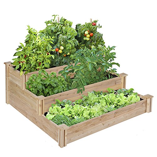 Greenes 4 Ft X 4 Ft X 21 In Tiered Cedar Raised Garden Bed