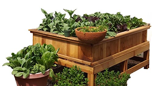 4X6 Garden Box Kit wLegs 30 tall Redwood